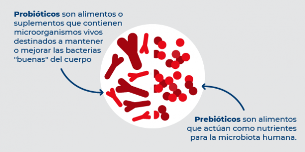 Prebióticos y Probióticos